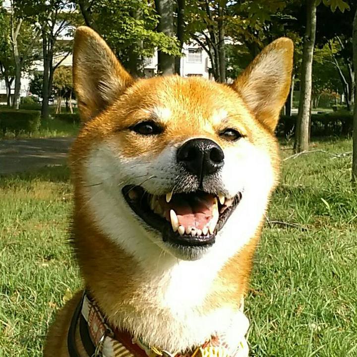 6db707fa d9fb 4f2c b737 d8bc1eabeb65 1538524938927