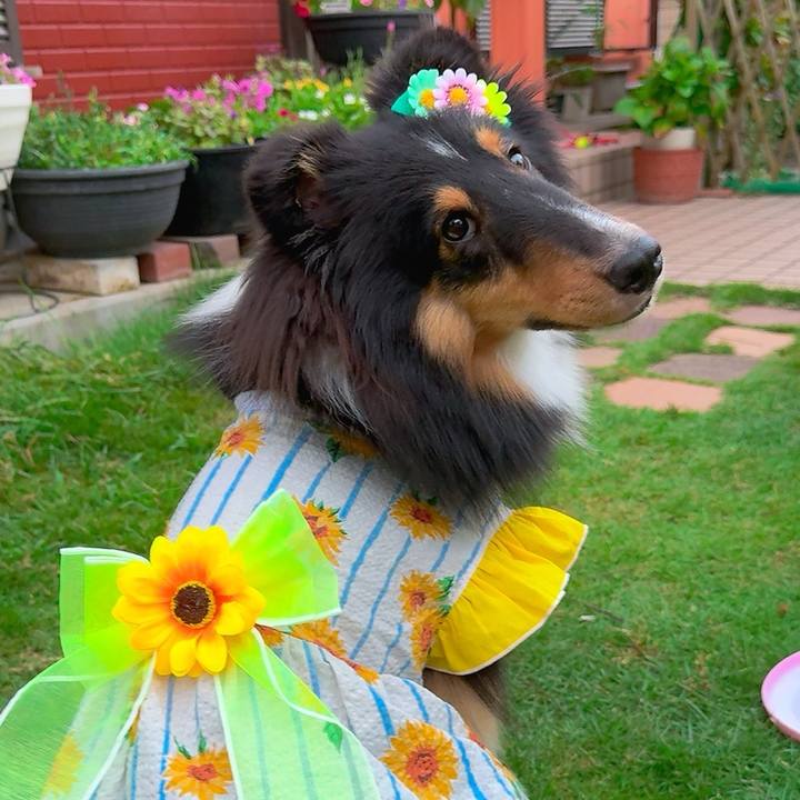 6db72d8c 745c 4561 8c6a 726744b45168 1751040927873