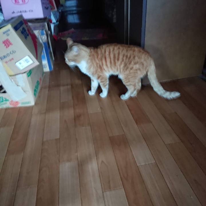 6db763e6 4b29 4948 b979 01e53336f922 1585685297823