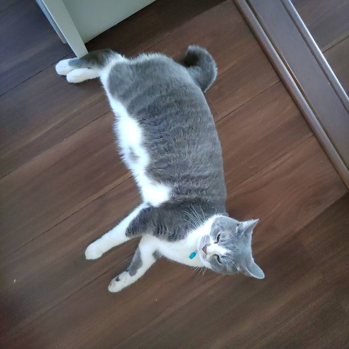 6db76d19 8459 4329 b9cb 698d770ada1d 1654304322434