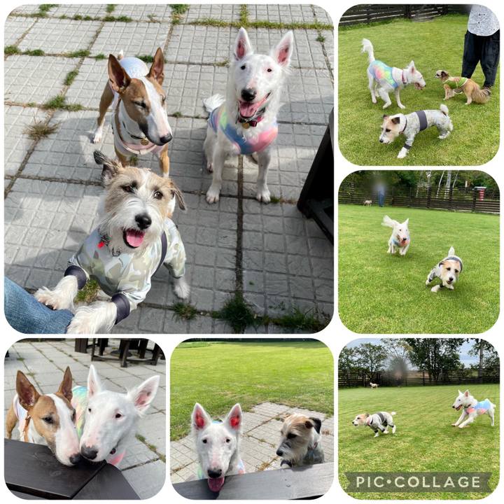 6db78b1a cca7 4ce2 be8e 95ffb6321325 1663371273275