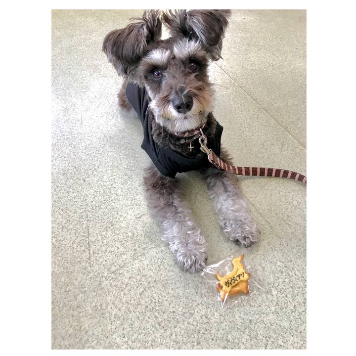 6db795c9 4209 403c 8709 3ae3185f7c74 1556611270870