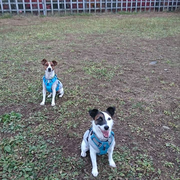 6db79841 6d48 4f65 96a7 b4d2c2a532d1 1604735330712