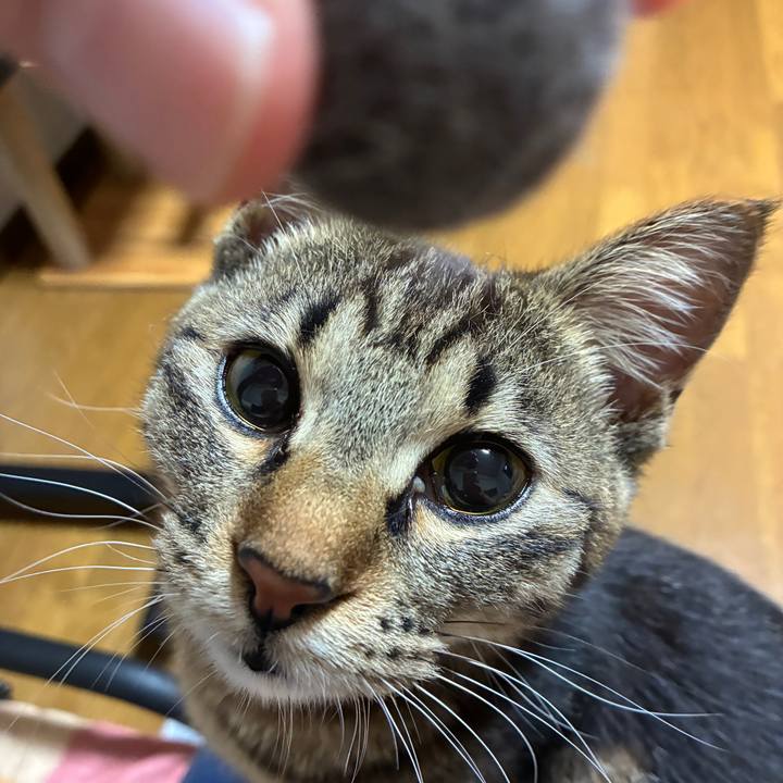 6db7b9bd bd68 4f93 8d09 f63cb11cc349 1751575410248