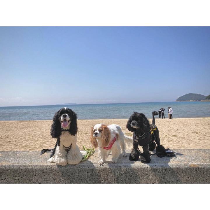 6db7c842 c393 4c99 bbec d820c023b9db 1649073450234