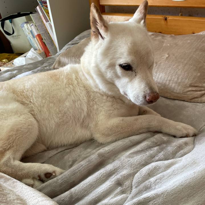 6db7e90e b8b7 4caa bce5 63d33207c44b 1634963195521