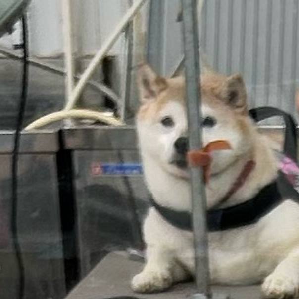 6db7eecf 6579 4f0e 8379 c1d38d82490e 1734930074317