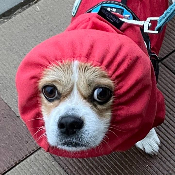 6db7fff1 1ce5 4cb4 a09c 485959f447a8 1644761410801