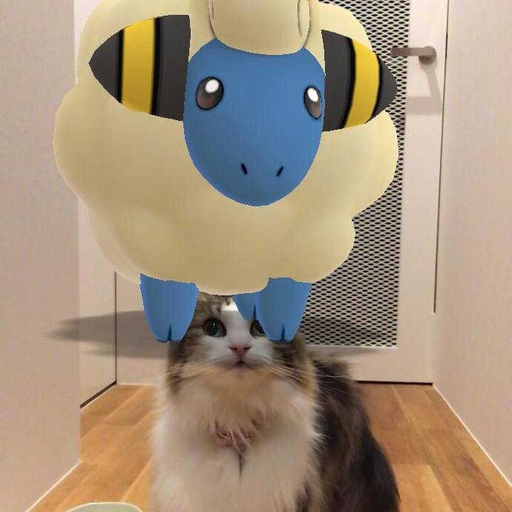 6db816cd e785 4f50 afb2 f32dcf9f2873 1556030258977