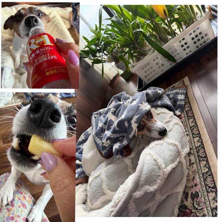 6db83151 0733 473f 969d 92a464dfcd06 1767058262925