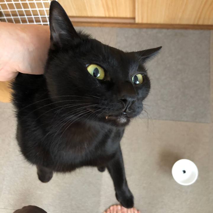 6db895ce 3254 4100 ac03 f8f4c99d84c5 1670712891297