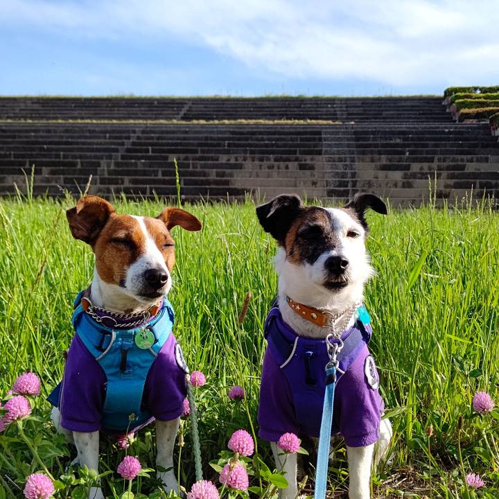 6db8a4c6 476a 49bc a8b5 daed63220d2e 1620024896177