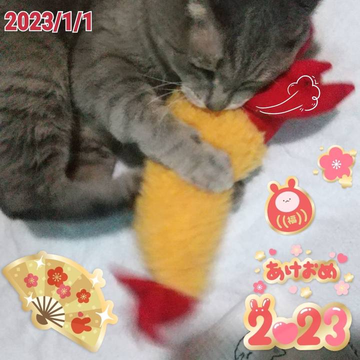 6db8bd52 e907 4b9f a4d0 ae7283fb1a7a 1672506716121