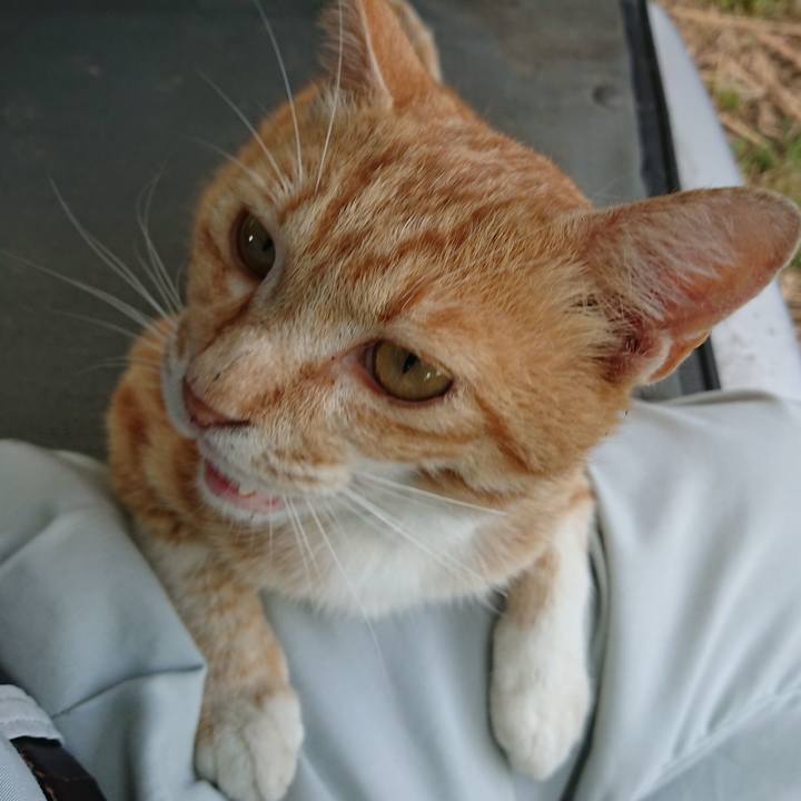 6db925aa 95ca 45cd a56c 9573122cc773 1561714709463