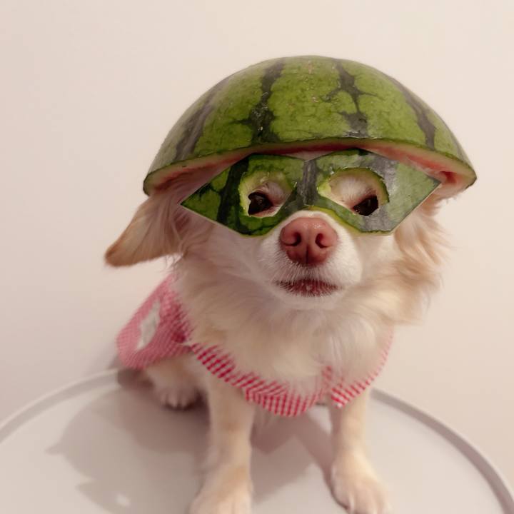 6db95a60 c4d2 4172 80c2 2edeacd16e07 1719059447080