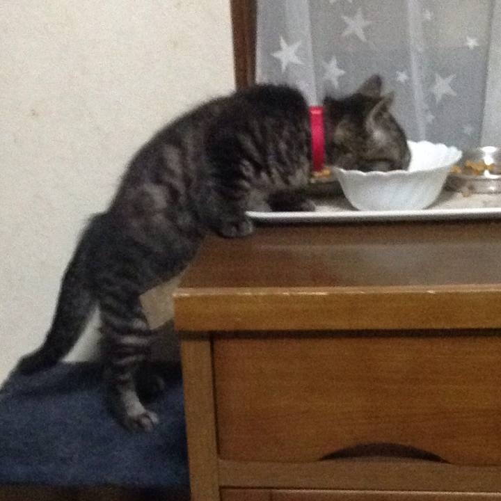 6db9768c 5efe 4249 aced b5d358f0ee1e 1528967149568