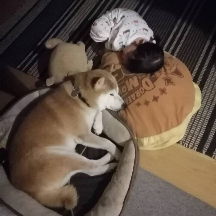 6db97c35 e8d1 4f7e 948a 0c002b131401 1663465973104