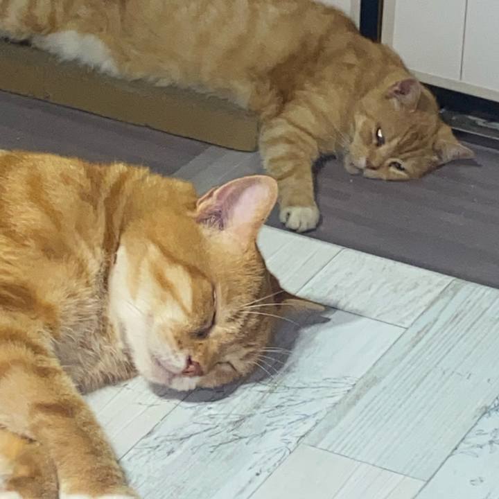 6db9921f 9a64 45c5 bb8f f38059b6c0a9 1626956945183