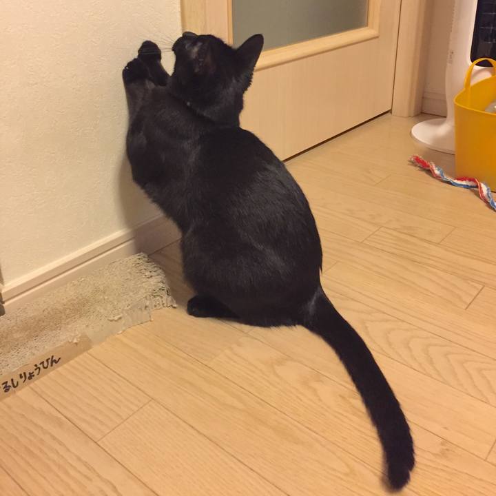 6db9e5d2 4bf9 43db bbb9 122ab87b7441 1508075234413