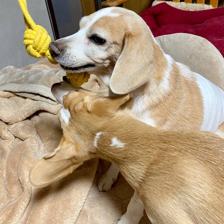 6db9ec0d 8cf5 4f40 88bb 5c7790664dd4 1583846598079