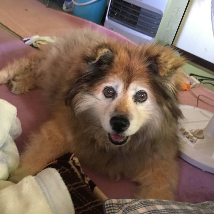 6db9ef26 207f 4a2a b051 8ab882d4be54 1600489105916