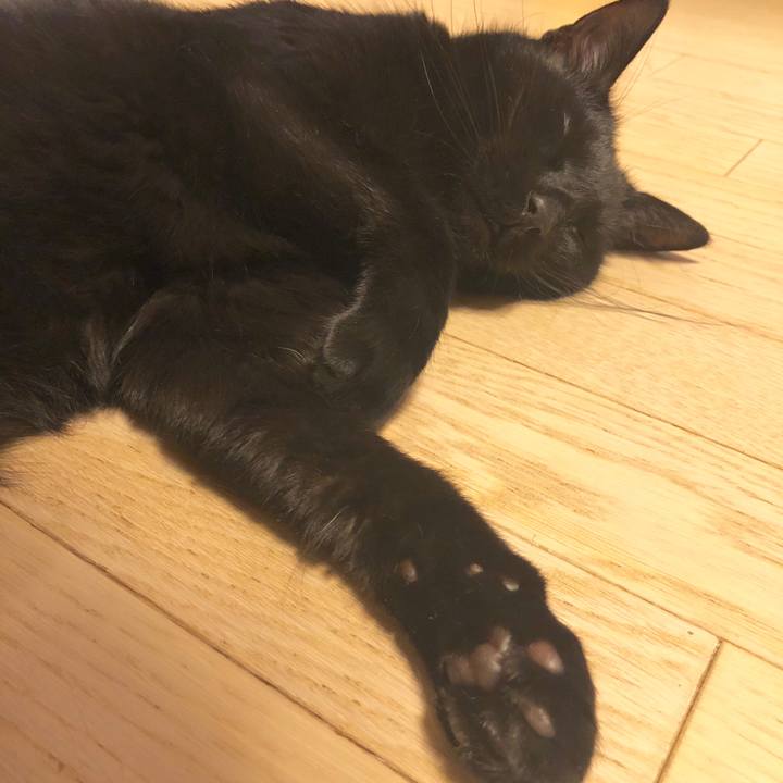 6dba2040 eccf 4d53 8085 9f65daf5c045 1580307526061