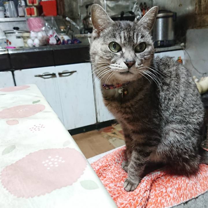 6dba373a 723e 4ed1 84e4 828e31d803fc 1583783850125