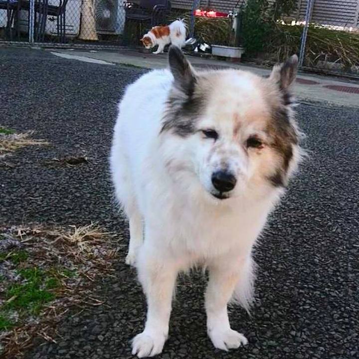 6dba51eb 8785 4d7c 8e1e da07d3434d4e 1672141504439