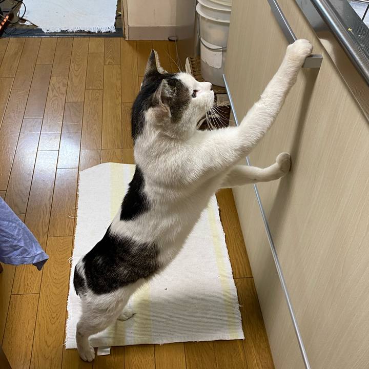 6dba70f1 1bab 4b5a b17c f304c2fff047 1619657480837