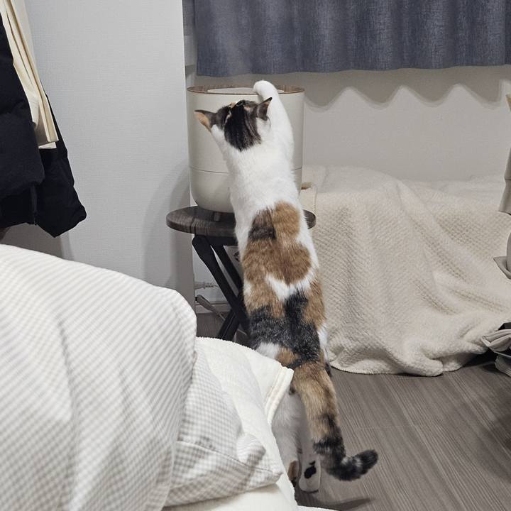 6dba8a44 3328 4cfb ae32 d20616e2b0d2 1765721339831