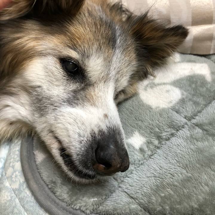 6dbaba6d 08f2 47a4 9de4 8f8edbcba4b0 1554078195214