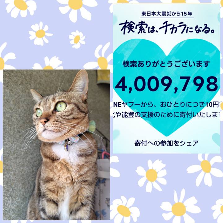 6dbb4235 c7b3 4214 b25c 61881c21e5a3 1773202998829