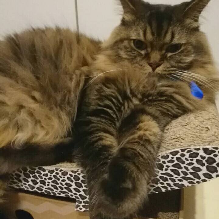 6dbb4f23 6eb5 46e7 9366 9f8a6ef6def4 1534765222037