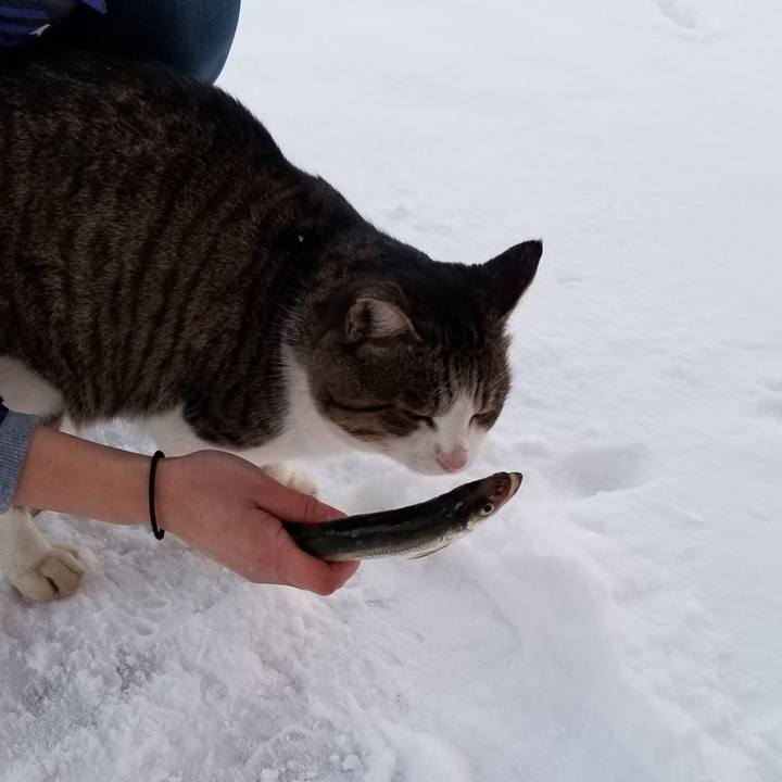 6dbb4fea bc95 43ba 8fbb 5e8b2d27f32f 1609160751017