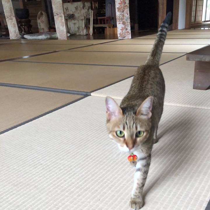 6dbb588e fa39 4a7e 9c7b 02b8080ba18c 1653895944011