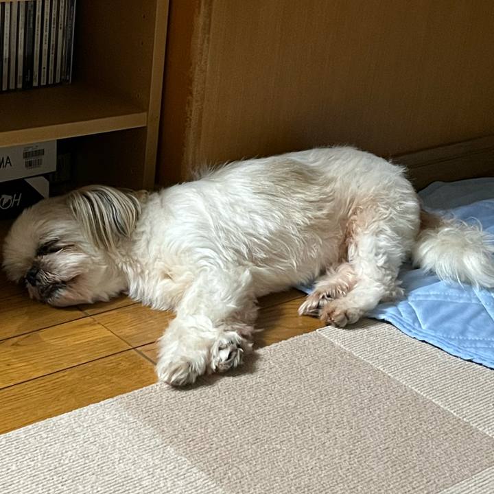 6dbb7fb8 cff6 481c 945f 4dd514b5f847 1657279603373