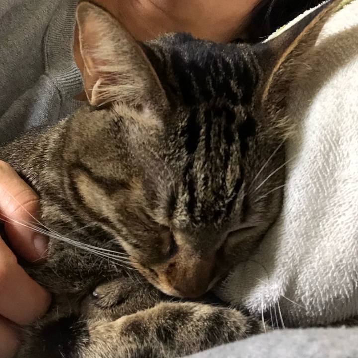 6dbb9316 d107 4ffc 8e2c 339cf21e2f97 1550329187979