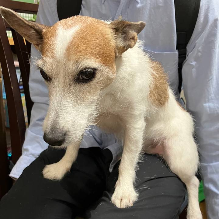 6dbc6c01 34cf 46ae 9ce9 b7f805f36a1d 1698452751720