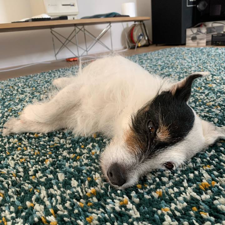 6dbc6d32 c81d 4932 bdf0 f3bf5f068060 1713585612427