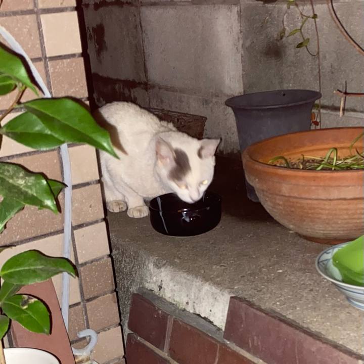 6dbc826b 3222 4b29 8b3b 686cf01756f8 1656109363714