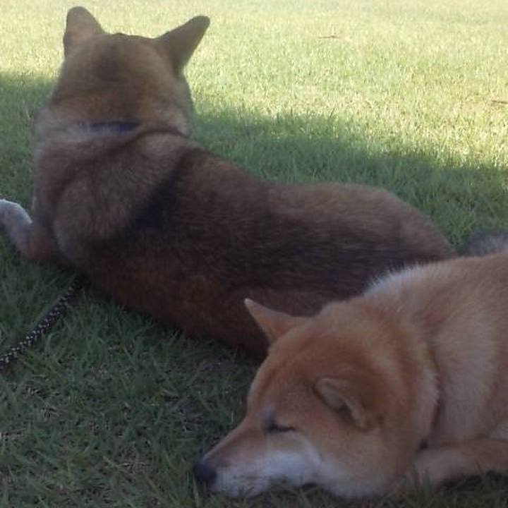 6dbc9f32 18ae 4517 81cd c558f49dbad4 1604418349669