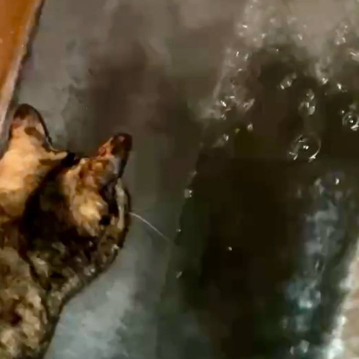 6dbcae36 6c07 4329 a9c6 d286685c0d96 1741984385401