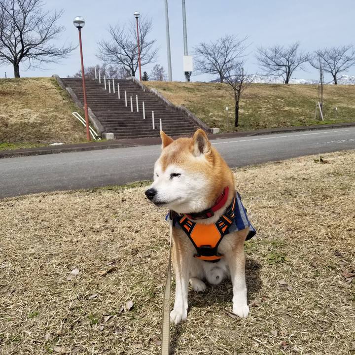 6dbcbd06 1dc0 4f14 b0f2 8f6781ecf79f 1711594396435