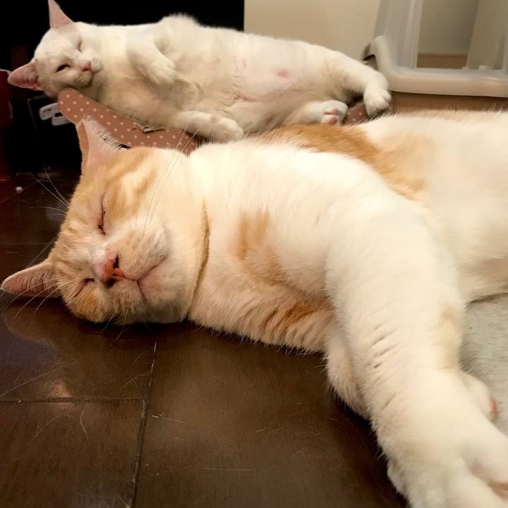 6dbcc5af 237f 4e20 8bdd d4ffd17d0c0d 1591194709247