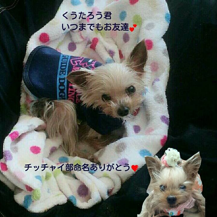 6dbcc5f4 9d61 4e81 b4b2 5dc7faaba9f3 1522511423822