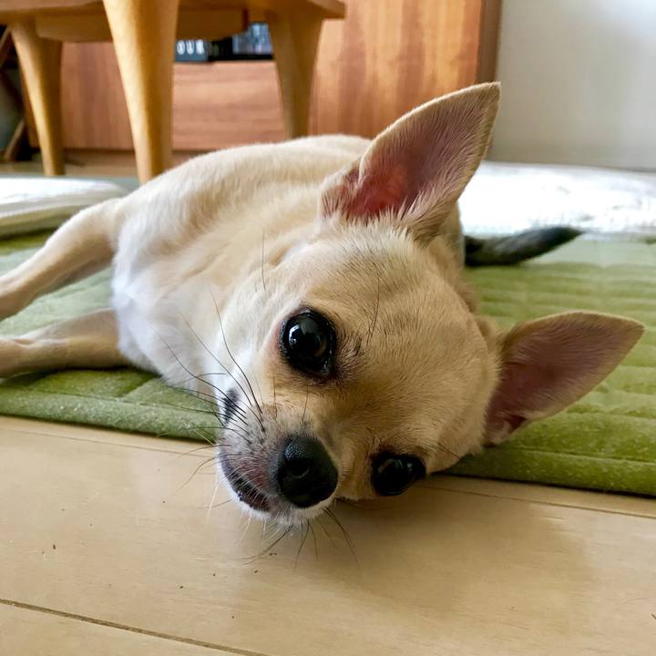 6dbcf439 d393 4276 8c65 9352ea331644 1533952119393