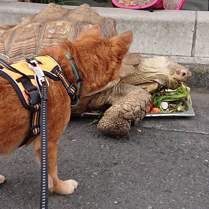 6dbcfae9 57cb 4a6b 8dbd 805564ef778c 1582343744115