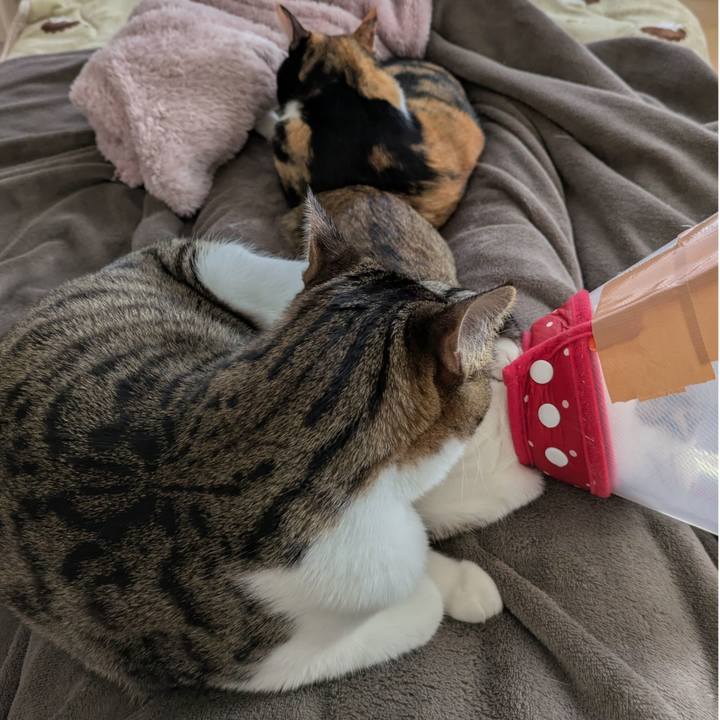 6dbd13b7 85bf 4b04 a49d 66fadaae916d 1745928098444