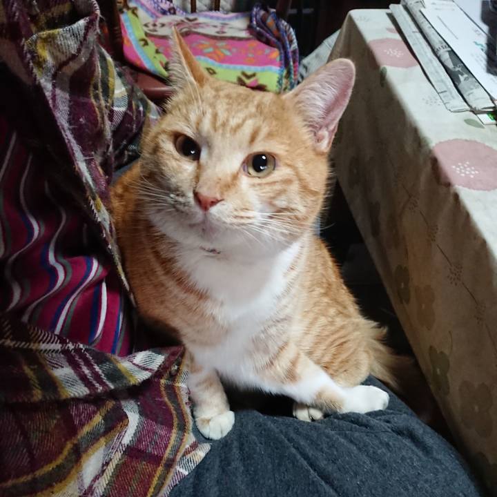 6dbd5dcf 1846 490b ad75 5a9c3f05336e 1579388497188