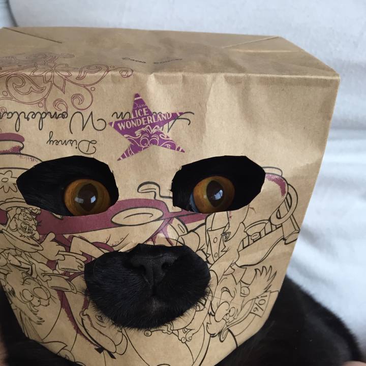 6dbd6535 ee35 4100 a98c 65271cb82846 1525304316466